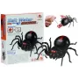 LEAN TOYS Creative Saltwater Powered Spider Kit DIY Black