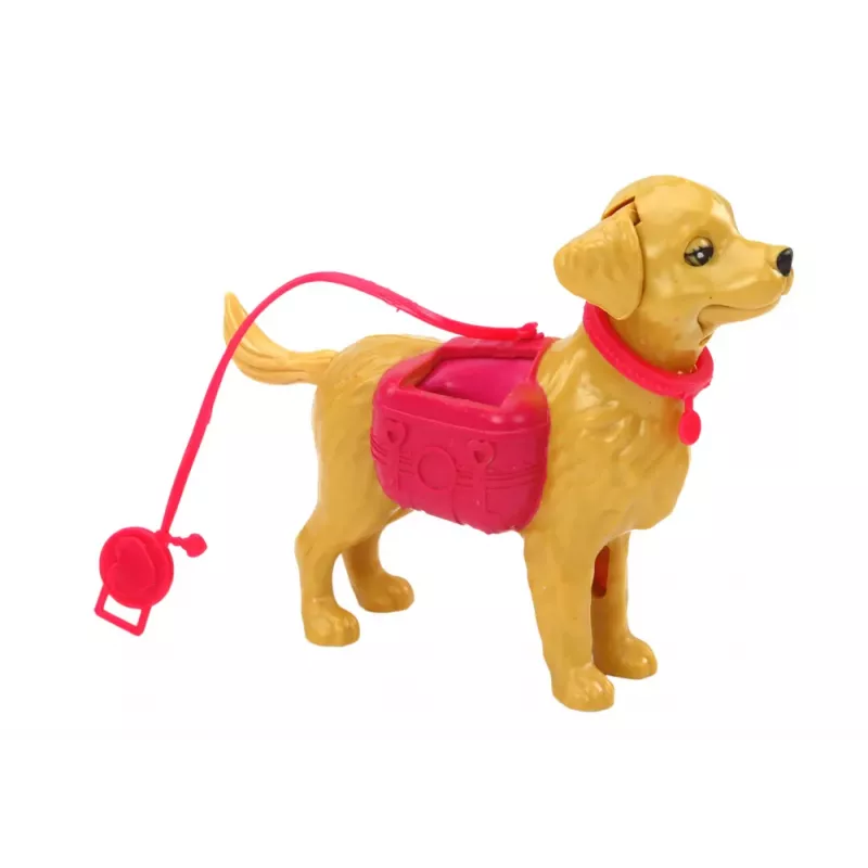LEAN TOYS Doll Set With Dogs Cat Vet Accessories