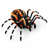 LEAN TOYS Remote Controlled Spider Tarantula Infrared Black R/C ST