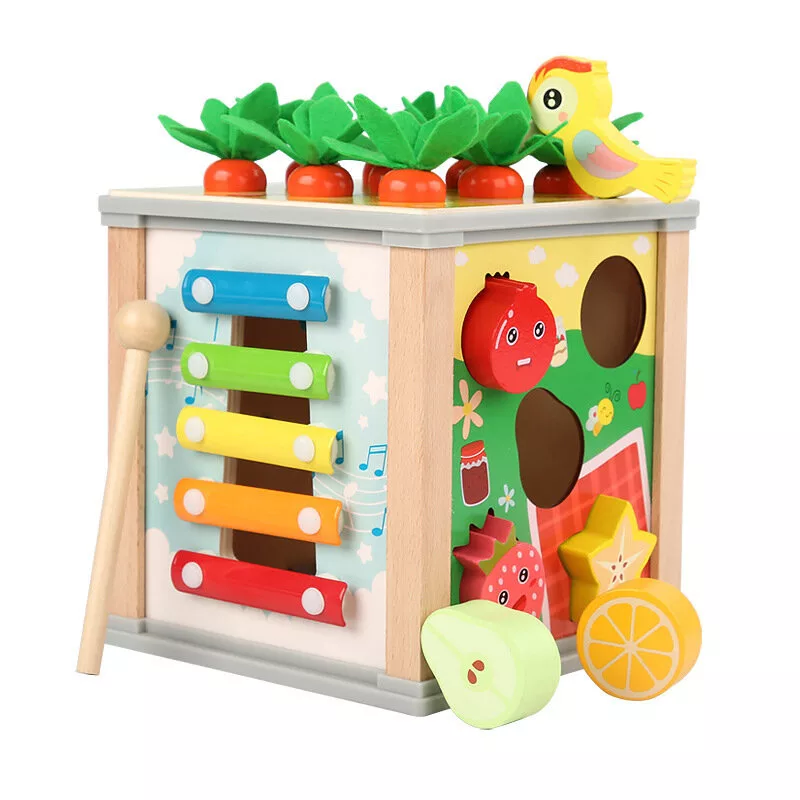 LEAN TOYS Wooden Educational Cube Sorter 5in1 Puzzle Box Blocks
