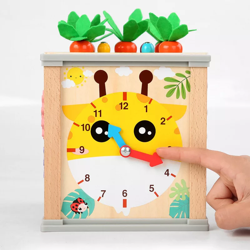 LEAN TOYS Wooden Educational Cube Sorter 5in1 Puzzle Box Blocks