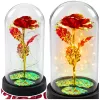 LEAN Eternal Crystal Rose in Dome with LED Lighting Red 21x11cm