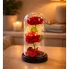 LEAN Eternal 2 Roses in Dome with LED Lighting and Rose Petals Red 21x11cm
