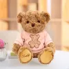 LEAN TOYS Plush Mascot Cuddly Toy Teddy Bear In Pink T-shirt Brown 30cm