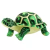 LEAN TOYS Plush Turtle Mascot Cuddly Plush Toy Green 25cm