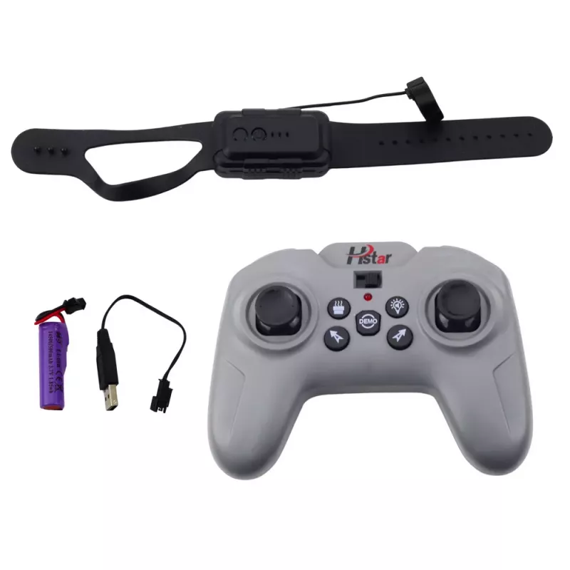 LEAN TOYS RC Sports Car Remote Controlled Smoke Effect 2.4G Black