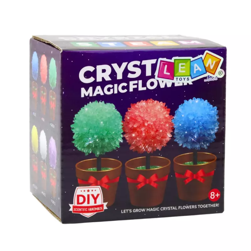 LEAN TOYS Crystal Growing Magic Crystal Tree Educational Experiment