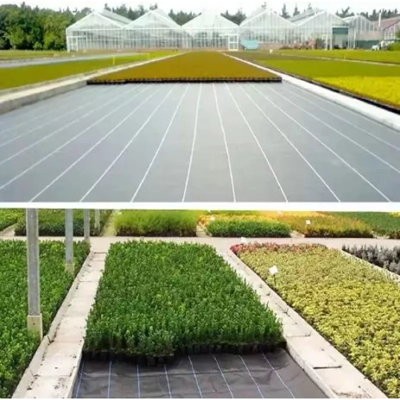 LEAN Black Agrotextile 1100cm x 50m UV 135g Anti-weed Agrotextile + Anchors