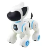 LEAN TOYS Interactive Robot Dog Remote Control Light Sound White Blue