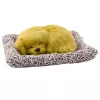 LEAN TOYS Sleeping Labrador Puppy on a Pillow Figurine with Fur and Transparent Bag