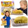 LEAN TOYS Sleeping Labrador Puppy on a Pillow Figurine with Fur and Transparent Bag