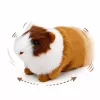 LEAN TOYS Guinea Pig Realistic Soft Fur Animal Brown 12 cm