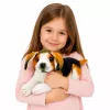 LEAN TOYS Plush Beagle Dog, Stuffed Animal, Soft Dog, 25 cm