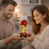 LEAN Eternal Rose in Glass Dome LED Lighting Red 21.5 x 11 cm
