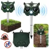 LEAN Solar Owl Animal Repeller Motion Sensor Ultrasound LEDs