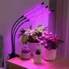 LEAN LED Lamp for Growing and Illuminating Plants, Triple Modules, Clip