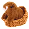 LEAN TOYS Plush Interactive Squirrel in a Basket Walks and Makes Sounds Brown