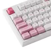 AKKO 5098B Prunus Lannesiana Mechanical Keyboard, 98-Key, Triple Mode, Hot-Swappable, RGB, PBT ASA Keycaps