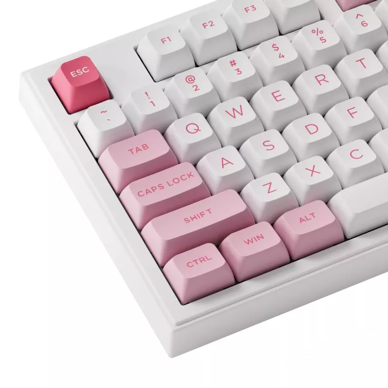AKKO 5098B Prunus Lannesiana Mechanical Keyboard, 98-Key, Triple Mode, Hot-Swappable, RGB, PBT ASA Keycaps