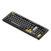 AKKO 5098B Mechanical Keyboard, 98-Key, Black & Gold, Hot-Swappable, RGB, Triple Mode (USB-C/2.4GHz/Bluetooth 5.0), Akko CS Jelly White Linear Switches, PBT ASA Keycaps, 3000mAh