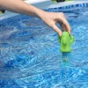 Bestway 58763 Floating Thermometer for Spa Pools Cactus Green