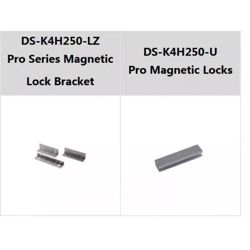 Hikvision DS-K4H250S Electromagnetic Door Lock