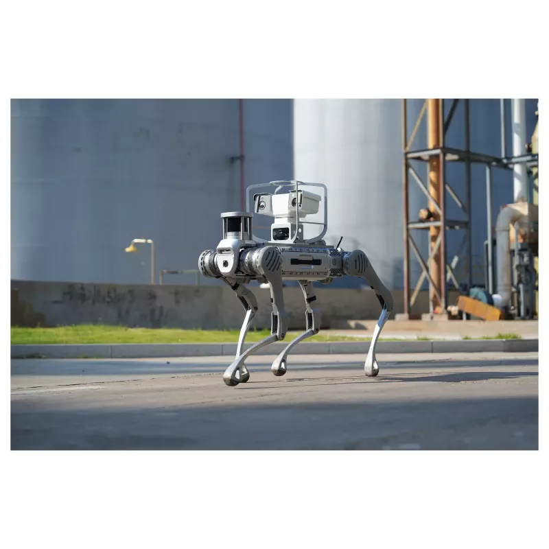 Unitree B2 Standard Industrial Quadruped Robot