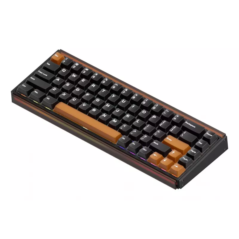 AKKO RAY68-HE Brown Mechanical Gaming Keyboard 68-Key Tri-Mode Wireless