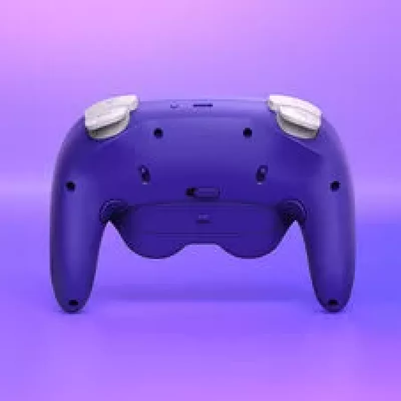 NYXI Warrior Switch 1 & 2 Controller - Purple