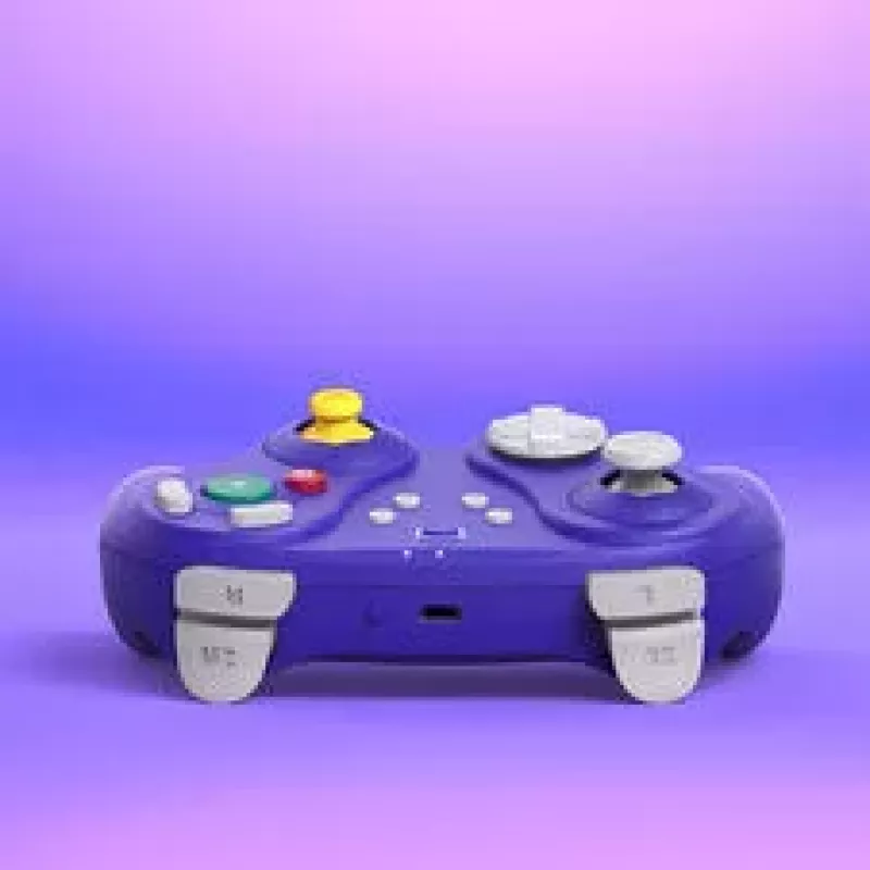 NYXI Warrior Switch 1 & 2 Controller - Purple