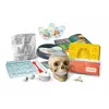 Clementoni Scientific Fun Crazy Anatomy Kit - Polish Language - 50697