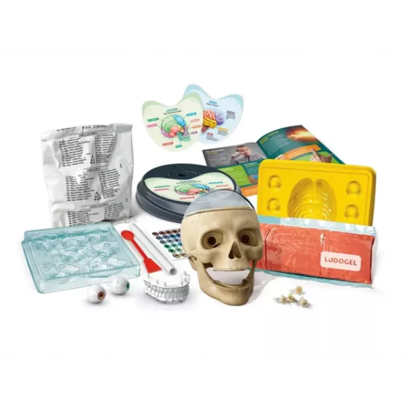 Clementoni Scientific Fun Crazy Anatomy Kit - Polish Language - 50697