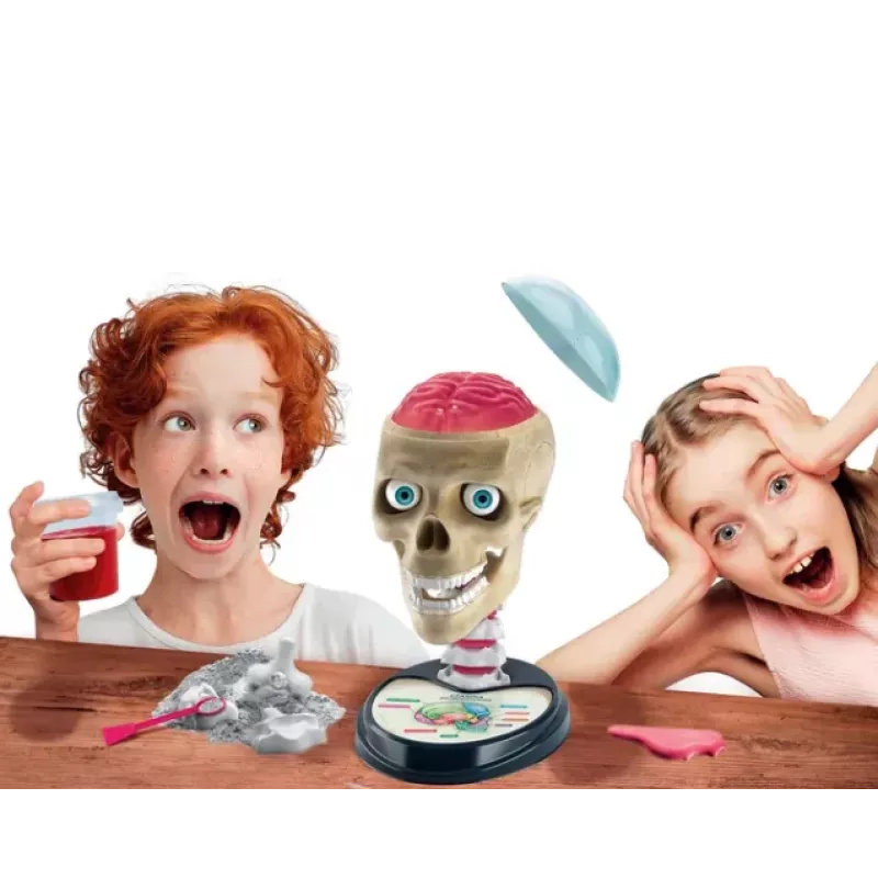 Clementoni Scientific Fun Crazy Anatomy Kit - Polish Language - 50697