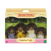 KAISER ELEKTRO Sylvanian Families Hedgehog Family of Stachel - Collectible Flocked Animal Figures Playset, 4 Figures with Comb, Ages 3+