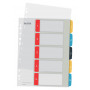 Leitz 12400000 Numerical Index Dividers, A4, 10 Tabs, Polypropylene, Grey Tabs, Transparent Body, Universal Punching