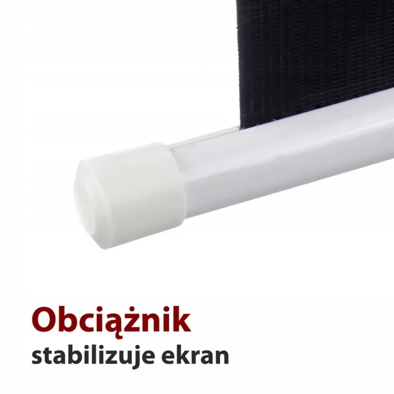Electric screen 16: 9 106 with the remote control 234x131cm FS-106 16:9