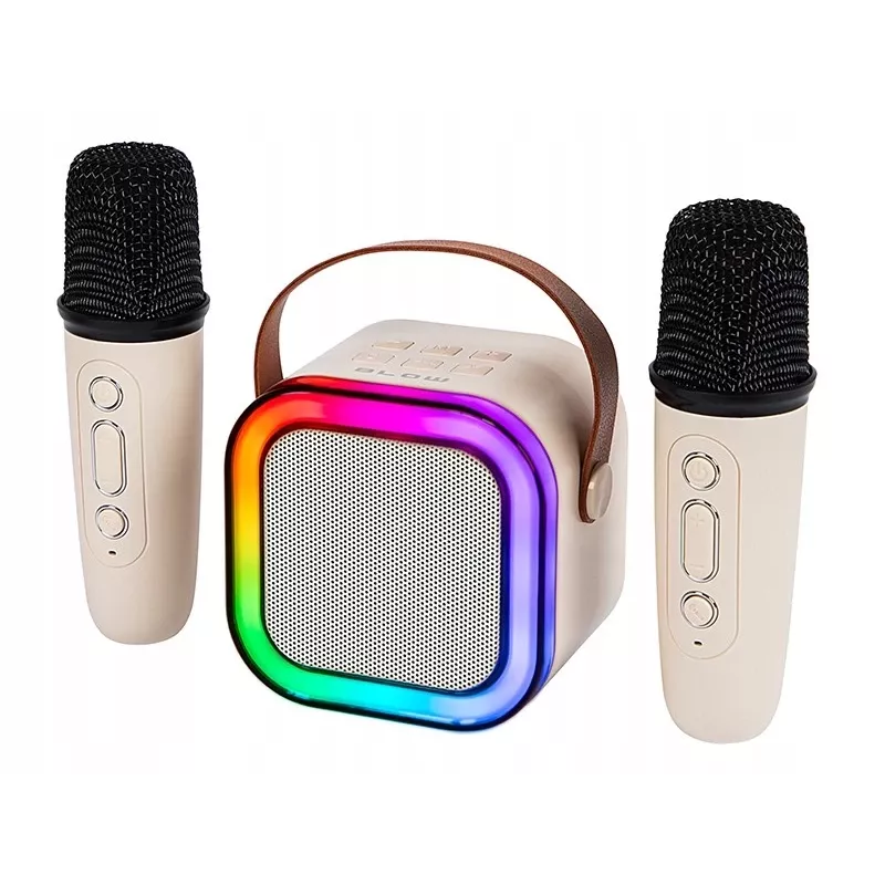 Karaoke Speaker, KARAOKE RGB Bluetooth Speaker, 30W