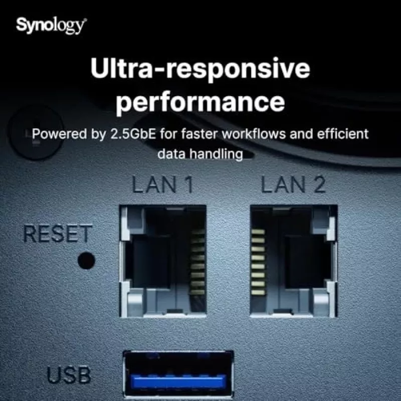 Synology DiskStation DS925+ NAS/storage server Ryzen Embedded V1500B 4 GB DDR4 0 TB Black