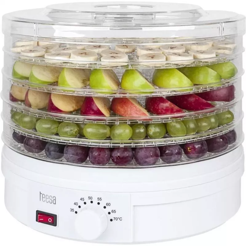 Dryer for mashrooms, vegetables, fruits