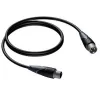 XLR Male to XLR Female Cable Procab 10 m — balanced audio connection, Procab 1KPCL114