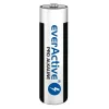 Single-use alkaline battery everActive LR0310PAK AAA 1.5V 1250mAh pack of 10
