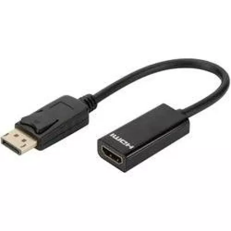 Digitus DisplayPort Adapter / Converter