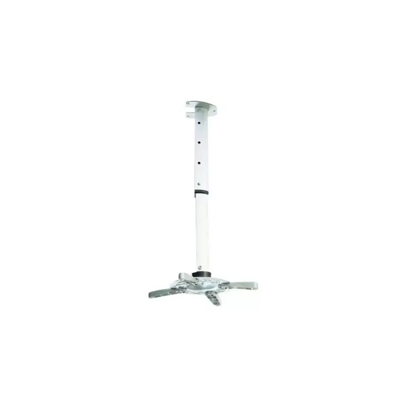 Ceiling Mount ART P-102
