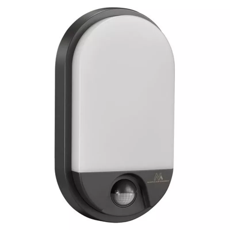 LED lamp MACLEAN MCE340G 15W 1100 lm — exterior LED lighting