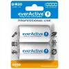 Rechargeable battery everActive EVHRL20-10000 D NiMH 1.2 V 2 pcs