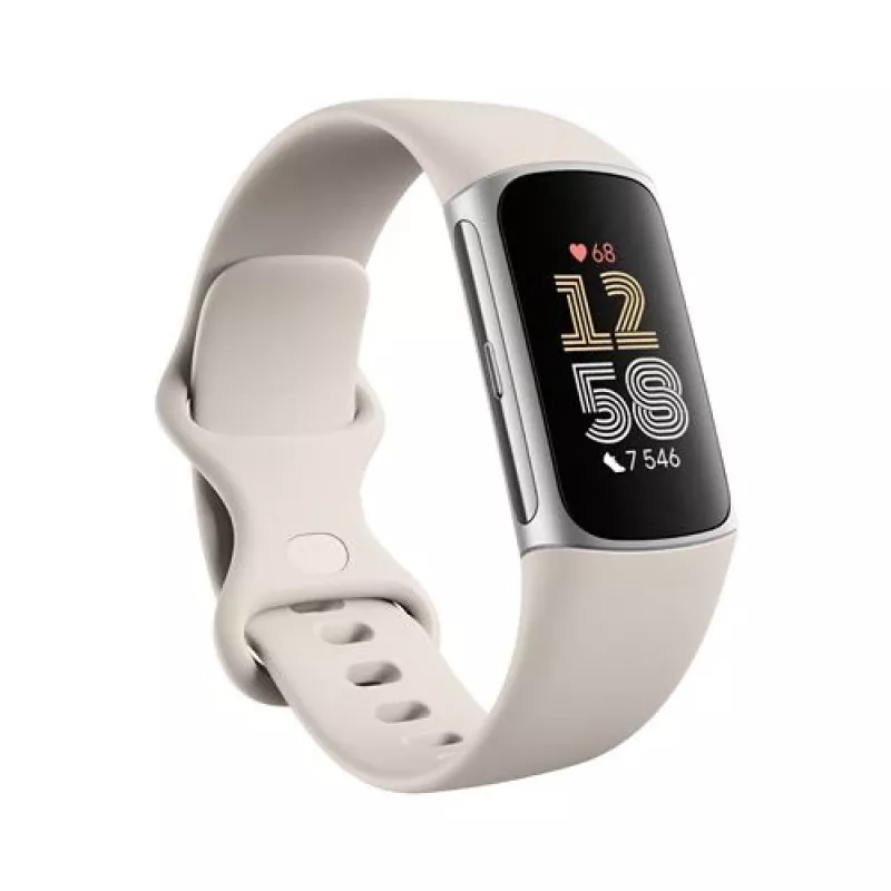 Fitbit GA05185-EU Product Silver
