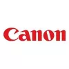 Canon PFI-031M ink cartridge 1 pc(s) Original Magenta