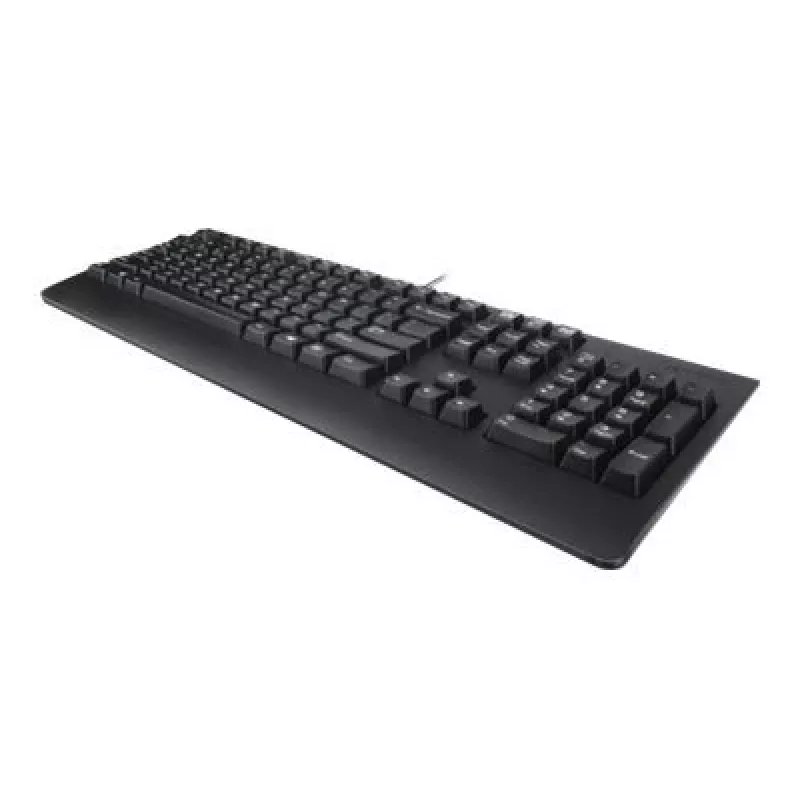 Lenovo 4X30M86918 keyboard Office USB QWERTY US English Black