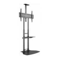 TV Mounts & Stands
