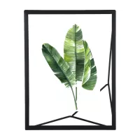 Picture Frames